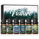 HIQILI Fragrance Oil Set, 6 PCS*10mL Pure Perfume Oil Set for Gift Aromatherapy Diffuser DIY Perfume Candle Soap Making