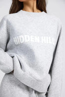 Netherlands Spring and Autumn Gray Letter Sweater Fashion Retro Casual Trendy Pullover Men and Women Loose Oversized Sweatshirt