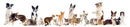 The Orchard | Fruit-Floral Adjustable Dog Bandana for Small, Medium & Large Breeds