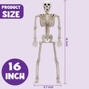 The Bone Chorus | Five-Piece Posable Skeleton Prop Set, 16-Inch
