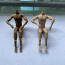 New 22 joint male warrior, male model, male doll body accessories