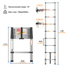 The Skyline Reach | Stainless Steel Telescopic Ladder, 150 kg Rated