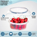 The Fresh Keep | 12-Piece Sealed Refrigerator Storage Box Set