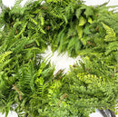 仿真蕨叶波斯草植物墙配饰绿化材料DIY园林景观家居园艺装饰办公室