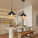 Retro Pendant Lights,E27 Black Metal Living Room Ceiling Lamps,Pendant Ceiling Light Lighting,Ceiling Lamp for Dining Room