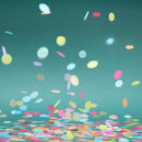 30 g Round Pastel Rainbow Pastel Tissue Confetti Dots for Wedding Baby Shower Graduation Birthday Party Decoration