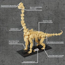 The Fossil Vault | 4-in-1 Jurassic Dinosaur Skeleton Building Blocks Set — 1,225 Pieces