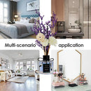 Creative Glass Diffuser Odor Removal Air Freshener Good Smelly Decorative Soothing Mood Essential Oil Glass Diffuser