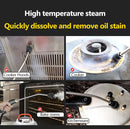 2800W家用电器蒸汽清洁器 110V 220V 高温油烟机汽车清洁耐酸消毒清洁器