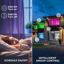 智能WiFi LED A19 灯泡，RGBCW 变色，兼容 Alexa 和 Google Home 及 Echo 助手，可调光，E26 灯座
