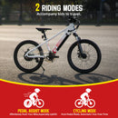 The Trail Pup | 250W Electric Mountain Bike for Young Riders Ages 7+