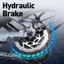 BURCHDA R5PRO 1000W50KM/H 26 Inch Foldable Mountain Electric Bicycle 48V20AH Lithium Fatbike Electric Bike For Adults Motorcycle