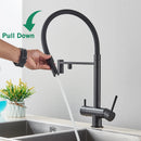 The Dual Stream | 2-in-1 Filtered Pull-Down Kitchen Faucet