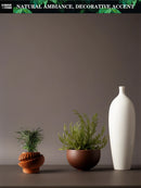 Modern Minimalist 3D Printed Plant Pot – Biodegradable Flower Planter for Home Decor, Eco-Friendly Sustainable Gift (Luxar)