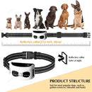 The Invisible Boundary | 2-in-1 Wireless Pet Fence & Training Collar