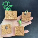 儿童模拟生物模型玩具动物植物生命成长周期蒙特梭利儿童玩具套装教具益智玩具