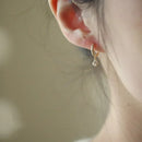 925 Silver Needle Crystal Zircon Golden Round Earrings Geometric Flower Rhinestones Hoop Classic Earrings Jewelry Party Gifts