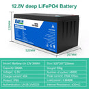 The Power Vault | 12V/24V LiFePO4 Battery 100-300Ah with Built-in BMS for Solar & RV