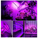 The Sunforge | Full-Spectrum USB LED Grow Light for Indoor Plants
