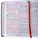 Holy Bible Lt Extragigant ARC Black Lateral Index