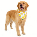 The Orchard | Fruit-Floral Adjustable Dog Bandana for Small, Medium & Large Breeds