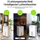 Anion purification dehumidifier home bedroom Silent automatic defrost basement clothes drying LED touch screen deshumidificador