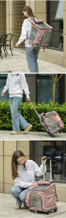 The Voyager Traverse | Foldable Expedition Pet Carrier