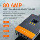 The Solar Sentinel | 100A MPPT Solar Charge Controller 12V-48V