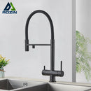 The Dual Stream | 2-in-1 Filtered Pull-Down Kitchen Faucet