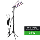 The Sunforge | Full-Spectrum USB LED Grow Light for Indoor Plants