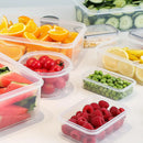 The Cold Archive | 12-Piece Sealed Refrigerator Storage Set