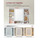 VASAGLE Dressing Table with LED Mirror, 3 Colors, Adjustable Brightness, Makeup Table with Mirror, Large, Adjustable Storage