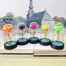 Valentines Day Gift for Girlfriend Eternal Rose LED Light Foil Flower In Glass Cover Mothers Day Wedding favors Bridesmaid Gift