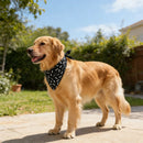 The Orchard | Fruit-Floral Adjustable Dog Bandana for Small, Medium & Large Breeds