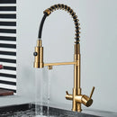 The Two Streams | Brass Kitchen Faucet with Dedicated Filter Tap and 360 Degree Pull-Down Spout