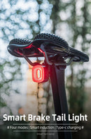 ROCKBROS Bike Light Smart Bicycle Rear Light Auto Brake Sensing IPX6 Waterproof Cycling Tail Lamp LED Type-C Charging Safety Bike Taillight