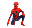 Hot-selling Superhero Zentai Cosplay Suit Full Body Theme Outfit Halloween Party Costume Collectible Holiday Gift for Cos Fan