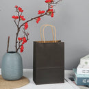 The Brown Standard | Premium Kraft Gift Bags with Handles (10-Pack)