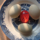 Kitchen egg cooking timer with water temperature color change egg timer perfect boiled egg temperature kitchen helper