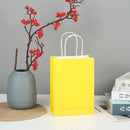 The Brown Standard | Premium Kraft Gift Bags with Handles (10-Pack)
