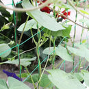 9股花园植物攀爬网，适用于花卉、番茄、水果、蔬菜、葡萄，聚酯格架网，0.9米/1.8米/2.7米/3.6米X1.8米
