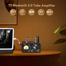 AIYIMA T9 HiFi Bluetooth 5.0 Vacuum Tube Amplifier USB DAC Stereo Amplificador COAX OPT Home Audio Power Amplifier VU Meter 100W