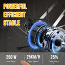 EVERCROSS TECH EK 8S Electric bike adult, E-boat 26 with motor W, 36V 12Ah battery, Max speed 25 km/h, Max Charge