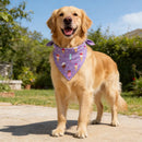 The Orchard | Fruit-Floral Adjustable Dog Bandana for Small, Medium & Large Breeds