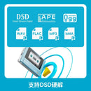 Fiio Snowsky Echo Mini Wireless Bluetooth Mp3 Mini Walkman 8GB Custom Support Dsd Retro Portable Bluetooth Player Music Gift Man