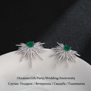 New Arrival Earrings For Women Temperament White Zircon Rhinestones Unique Design Brand Earings Fashion Jewelry Bijoux AE210