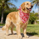 The Orchard | Fruit-Floral Adjustable Dog Bandana for Small, Medium & Large Breeds