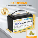 磷酸铁锂电池 12V 100Ah 带BMS 100A 可充电锂电池组 适用于逆变器 太阳能越野 离网太阳能 深循环