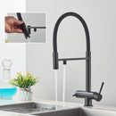 The Dual Stream | 2-in-1 Filtered Pull-Down Kitchen Faucet
