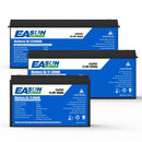 The Grid Sentinel | 12V-24V LiFePO4 Deep-Cycle Battery (100Ah-300Ah, Built-in BMS)